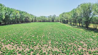 718 Gabaldon Road, Belen, NM 87002