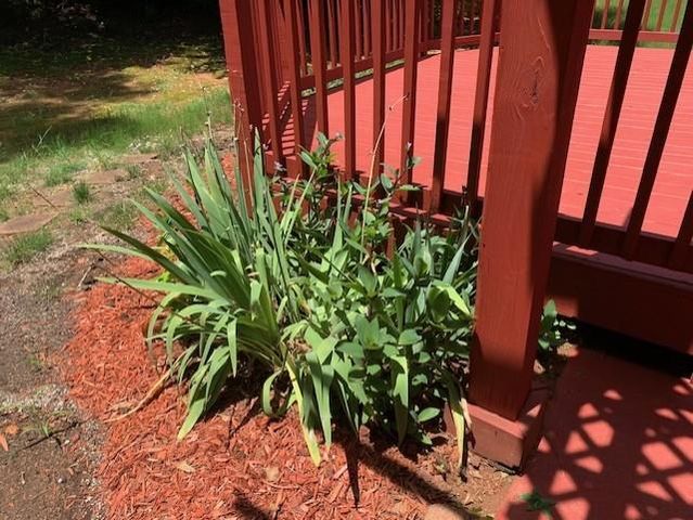1835 Winding Crossing Trail, Fairburn, GA 30213