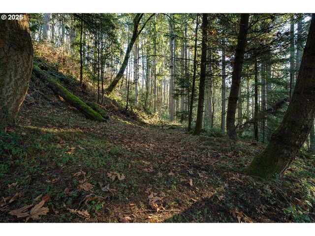 810 Nw BRADY Rd, Camas, WA 98607