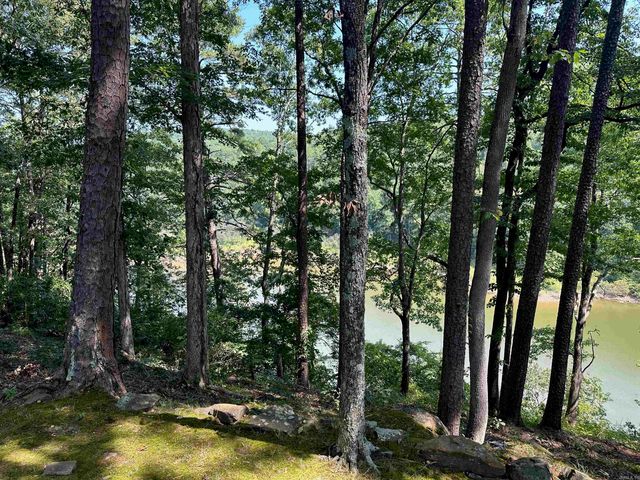 115 Meadowcliff Circle, Fairfield Bay, AR 72088