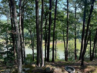 115 Meadowcliff Circle, Fairfield Bay, AR 72088