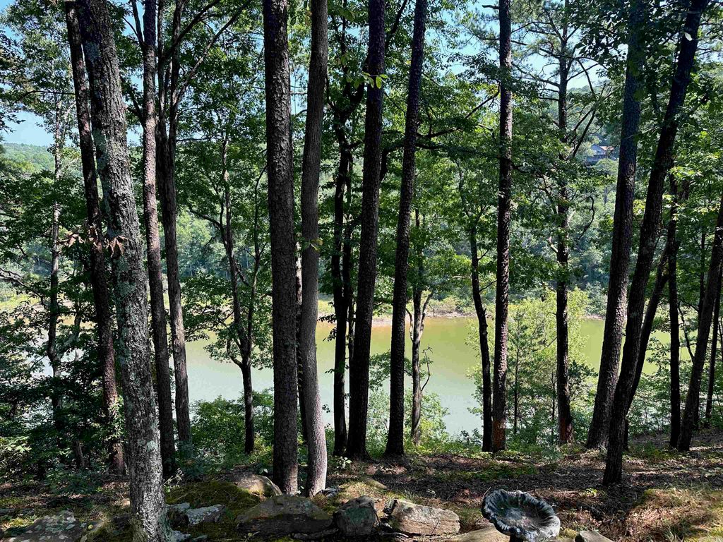 115 Meadowcliff Circle, Fairfield Bay, AR 72088