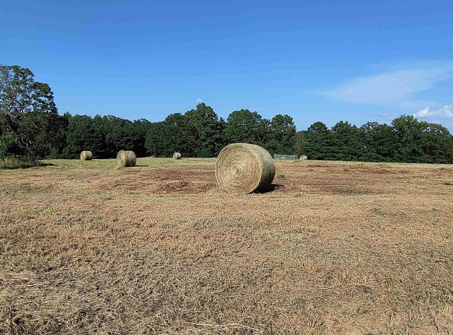 2631 Hwy 24 E., Prescott, AR 71857