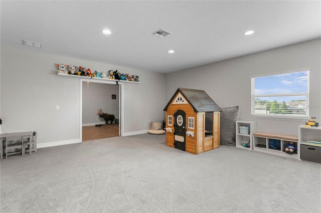 10506 ALCON BLUE DRIVE, Riverview, FL 33578