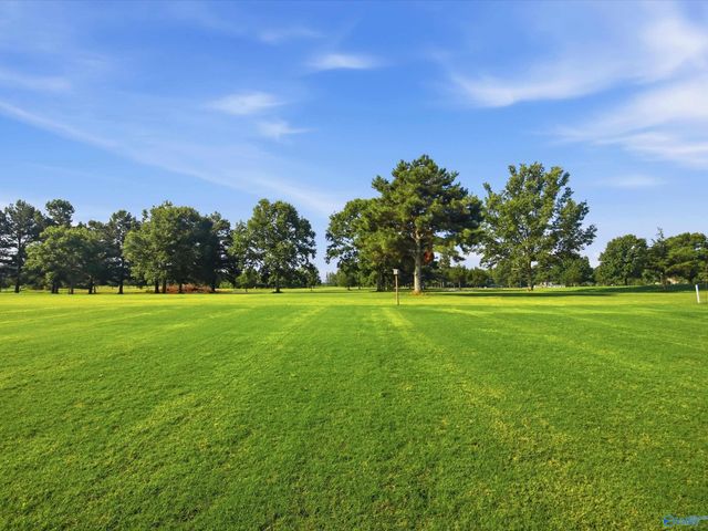 25202 Bain Road, Athens, AL 35613