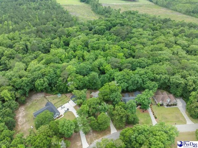 1041 Creekview Dr, Darlington, SC 29540