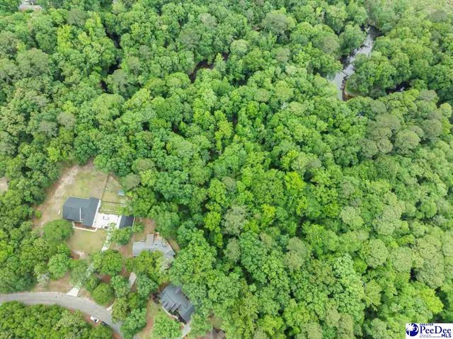 1041 Creekview Dr, Darlington, SC 29540