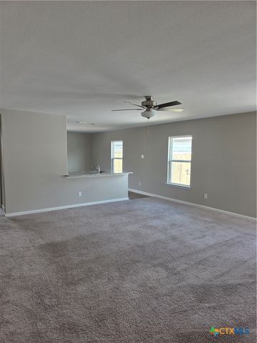 585 Aplite Pass, Maxwell, TX 78656