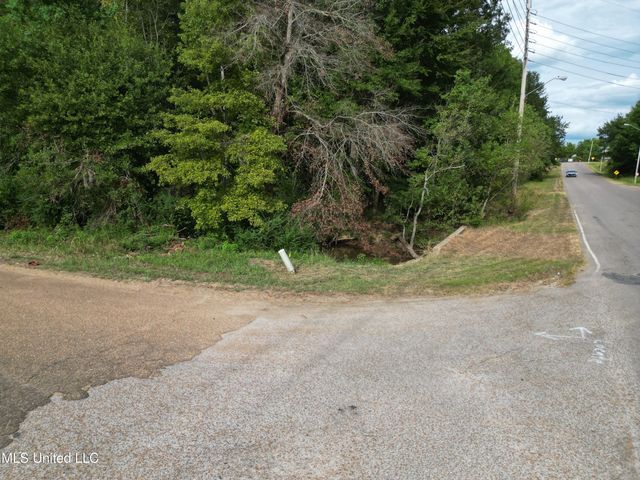 Covington Drive, Canton, MS 39046