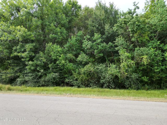 Covington Drive, Canton, MS 39046
