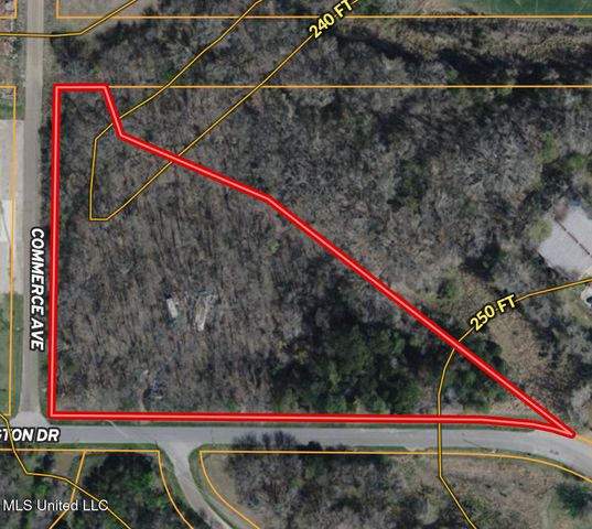 Covington Drive, Canton, MS 39046