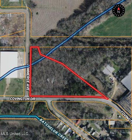 Covington Drive, Canton, MS 39046