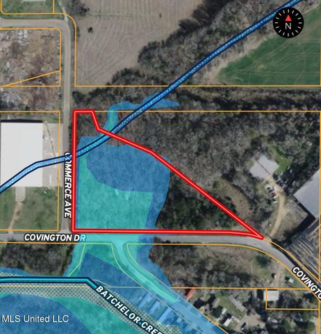 Covington Drive, Canton, MS 39046