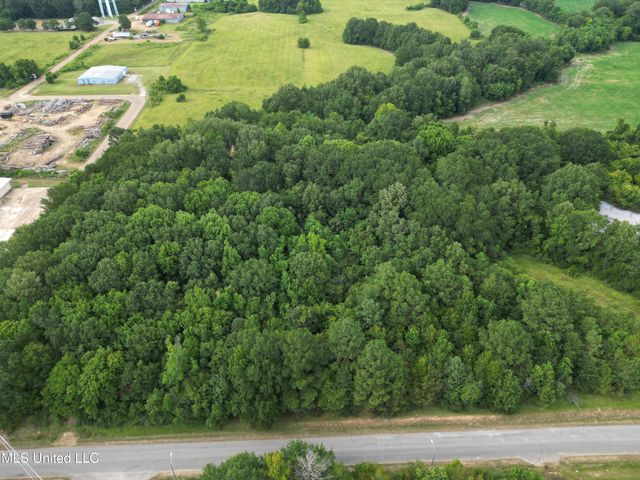 Covington Drive, Canton, MS 39046