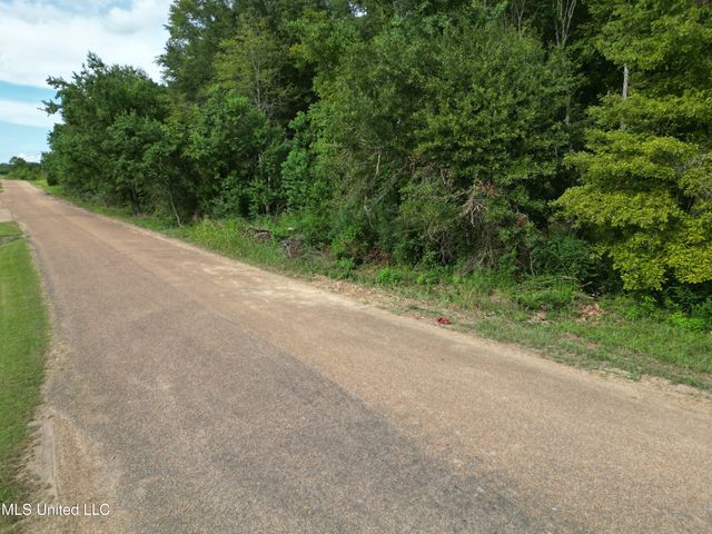Covington Drive, Canton, MS 39046
