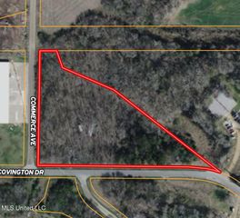 Covington Drive, Canton, MS 39046