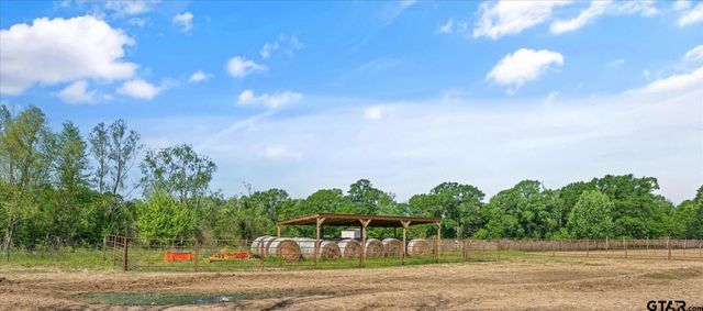 13277 St Hwy 135 N, Troup, TX 75789