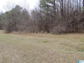 0 HIGHWAY 280, Harpersville, AL 35078