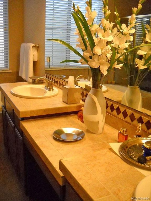 Image 11 of property listing at 9251 Grafton Drive, Lone Tree, CO 80124
