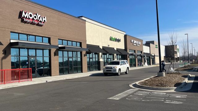 1436 CARDEROCK SPRINGS DRIVE, Gallatin, TN 37066