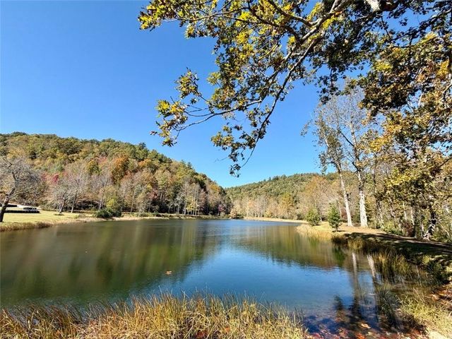 90 Cove View Lane, Clarkesville, GA 30523