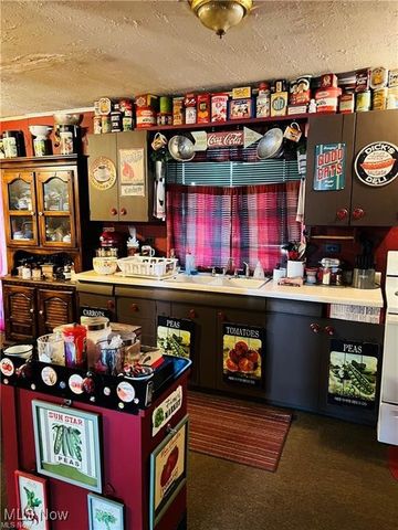 34561 Sunshine Road, Piedmont, OH 43983