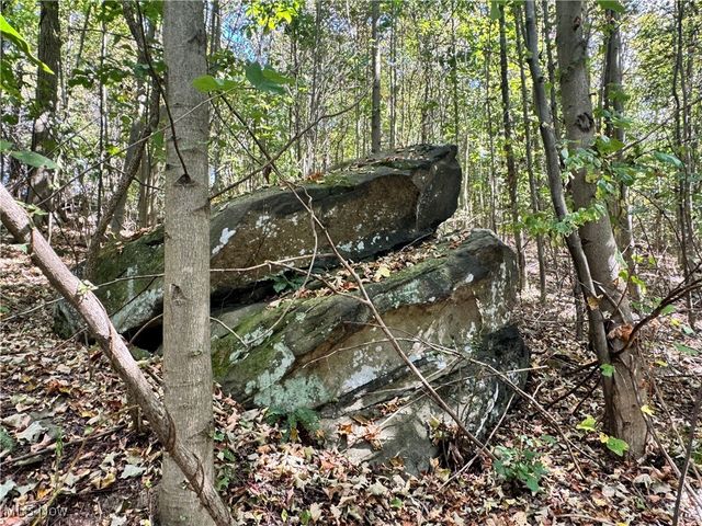 34561 Sunshine Road, Piedmont, OH 43983