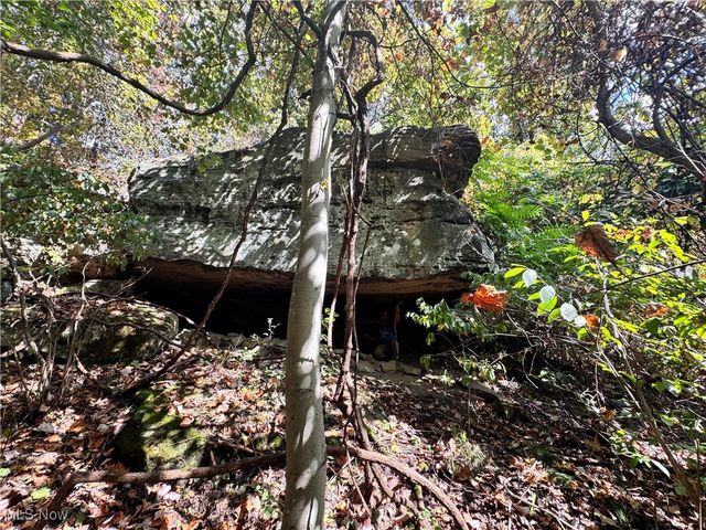 34561 Sunshine Road, Piedmont, OH 43983