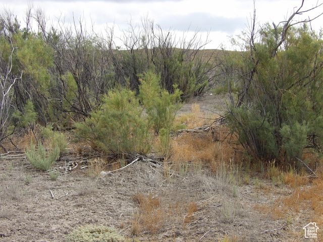 S. HIGHWAY 155, Cleveland, UT 84518