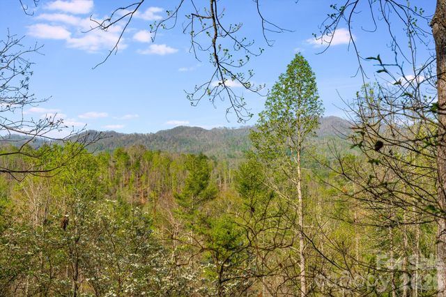 770 Echo Hill Drive, Green Mountain, NC 28704