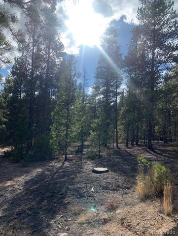 180 Peak View Drive, Leadville, CO 81251