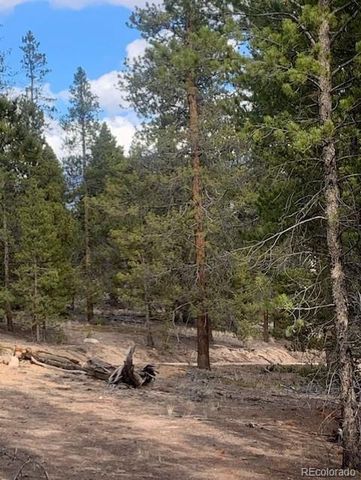 180 Peak View Drive, Leadville, CO 81251