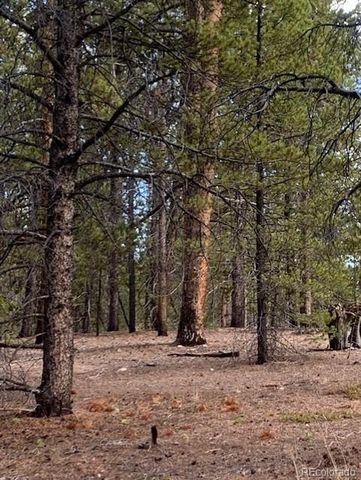 180 Peak View Drive, Leadville, CO 81251