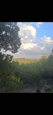 1332 Johnson RD, Canyon Lake, TX 78133