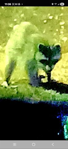 1332 Johnson RD, Canyon Lake, TX 78133