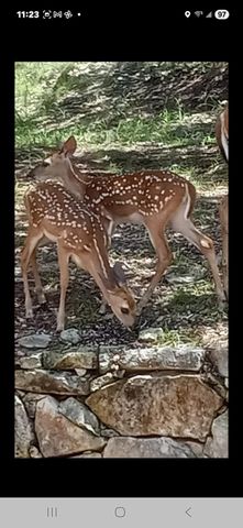 1332 Johnson RD, Canyon Lake, TX 78133