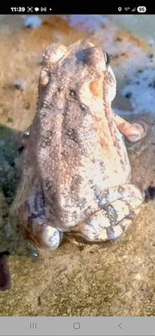 1332 Johnson RD, Canyon Lake, TX 78133