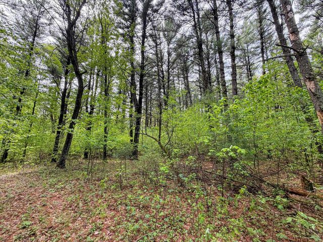 W6248 39th Street, New Lisbon, WI 53950