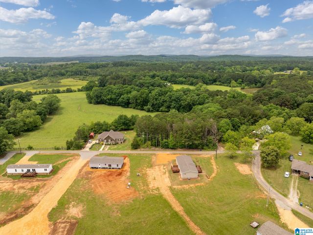 55 S T SMITH COURT, Cropwell, AL 35054