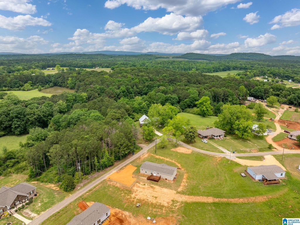 55 S T SMITH COURT, Cropwell, AL 35054