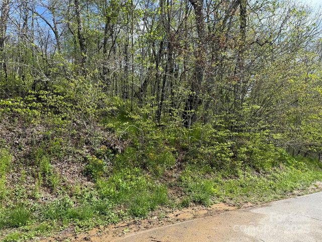 44 Fox Paw Lane, Banner Elk, NC 28604