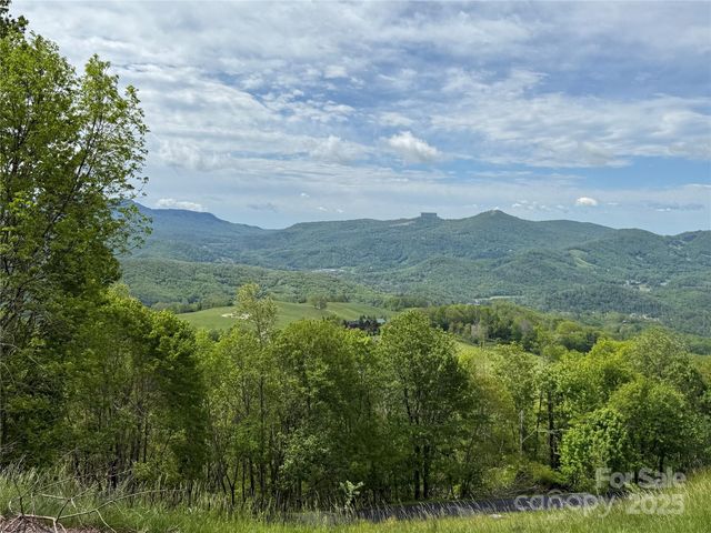 44 Fox Paw Lane, Banner Elk, NC 28604