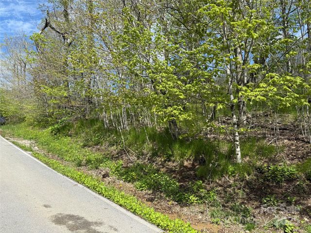44 Fox Paw Lane, Banner Elk, NC 28604