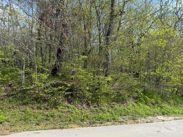 44 Fox Paw Lane, Banner Elk, NC 28604