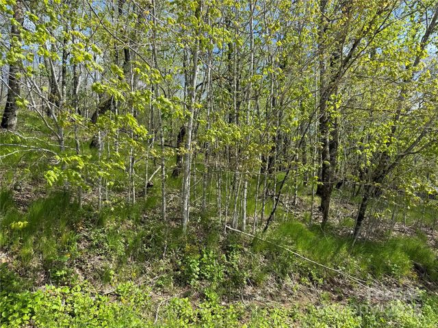 44 Fox Paw Lane, Banner Elk, NC 28604