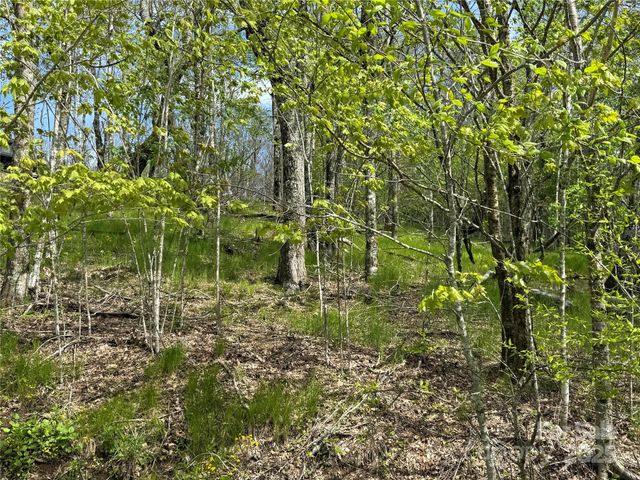 44 Fox Paw Lane, Banner Elk, NC 28604
