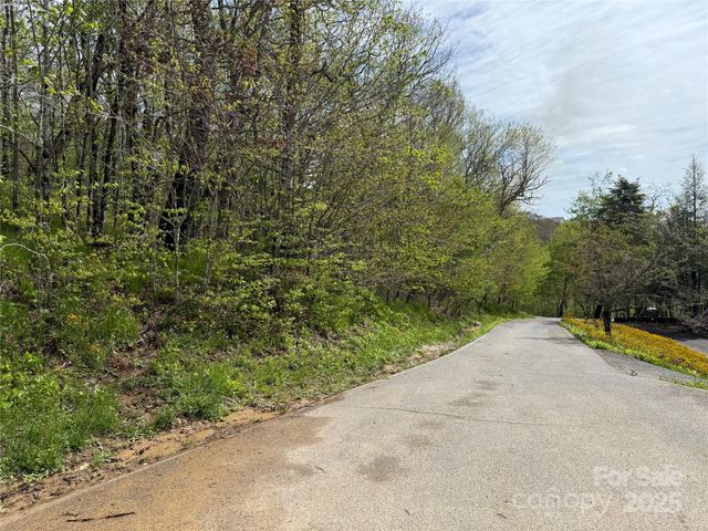 44 Fox Paw Lane, Banner Elk, NC 28604
