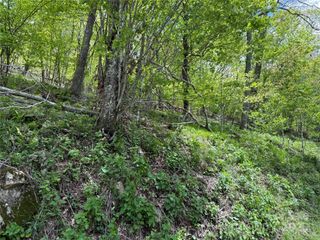 44 Fox Paw Lane, Banner Elk, NC 28604