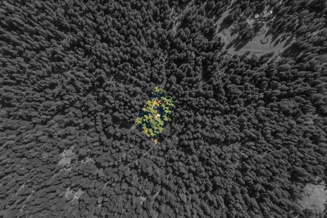 6148 Little Mountain Rd, Somerset, CA 95684