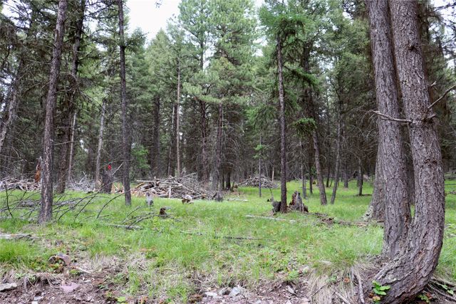 1016 Grandview Drive, Seeley Lake, MT 59868